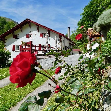 Chambres D'Hotes Agorerreka Saint-Etienne-de-Baigorry Dış mekan fotoğraf