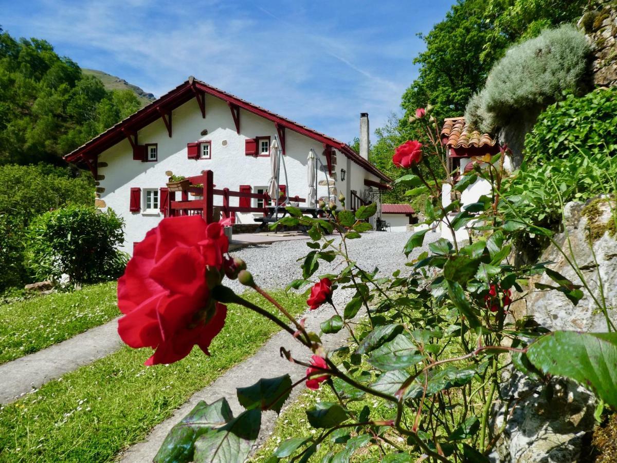 Chambres D'Hotes Agorerreka Saint-Etienne-de-Baigorry Dış mekan fotoğraf